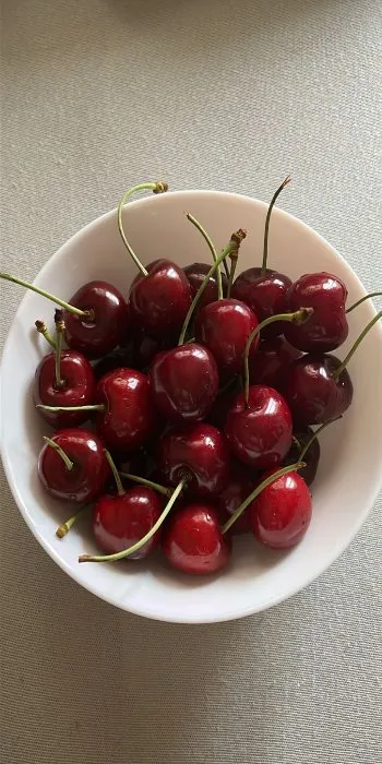 خرید عمده گیلاس