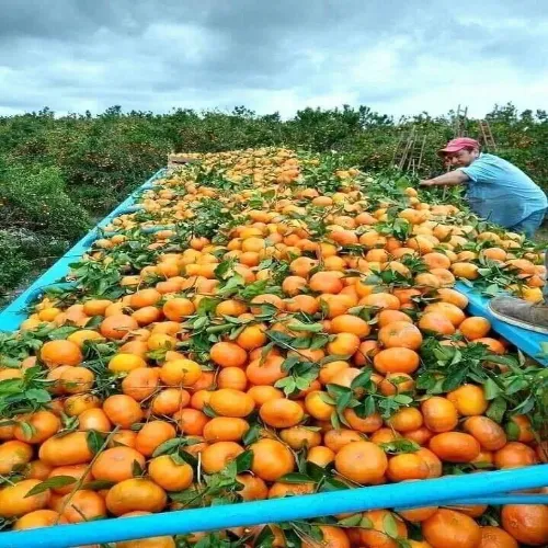 قیمت مرکبات