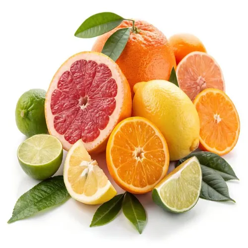 مرکبات شمال