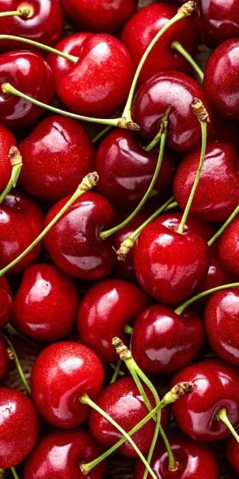 خرید عمده گیلاس