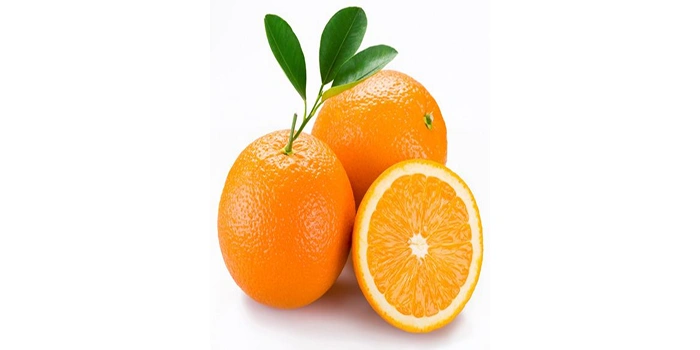 قیمت رستا تجارت
