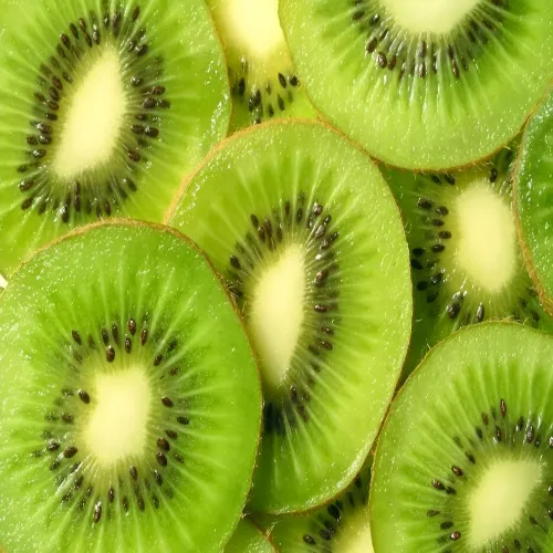 نگهداری کیوی