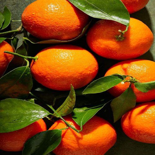 خرید عمده پرتقال
